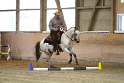 21_ApHC Western Riding